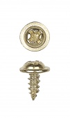 SH3008B Шуруп с широкой шляпкой 3,0х8 мм, цвет латунь, упак. 0,5кг, (~705шт.)